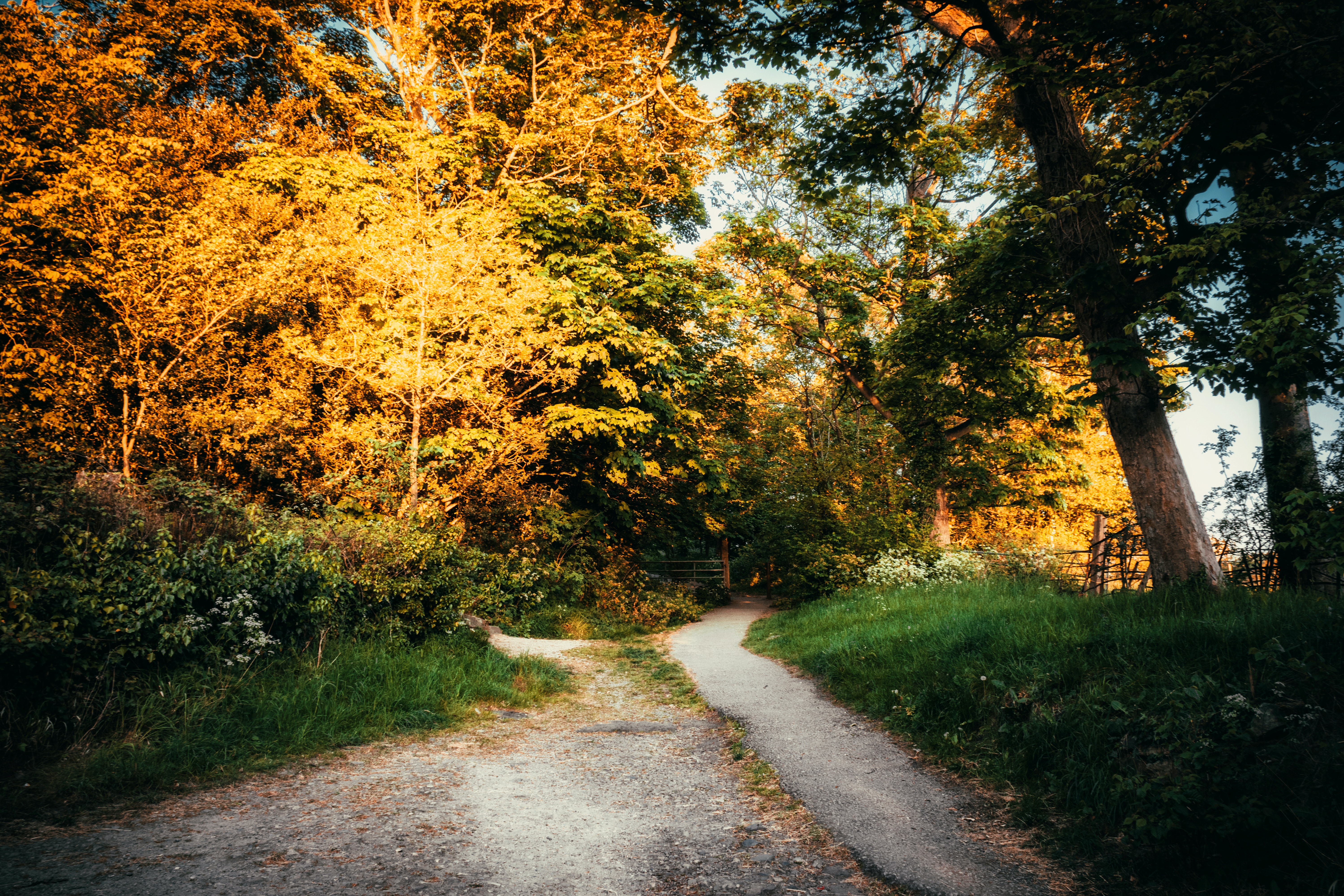 Parks and Trails1